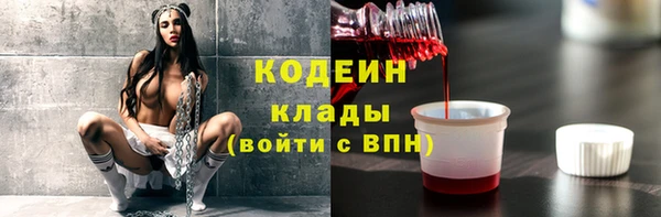 шишки Магас