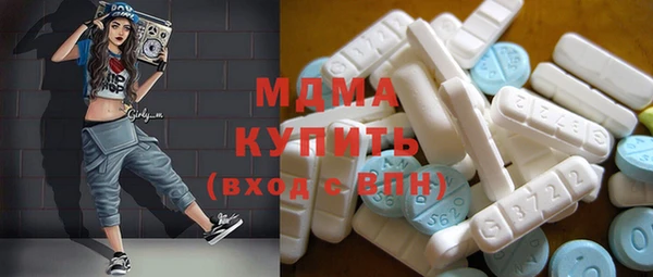 шишки Магас