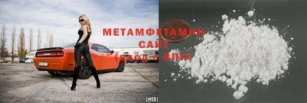 шишки Магас