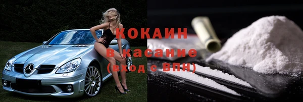 шишки Магас