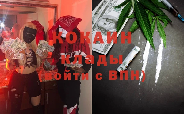 твердый Мегион