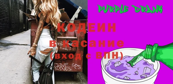 шишки Магас