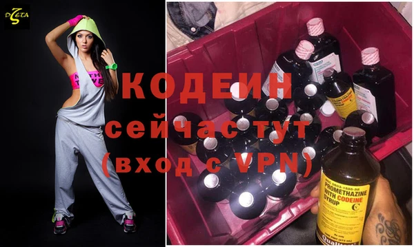 шишки Магас