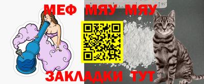 индика Камышлов