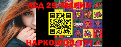 индика Камышлов