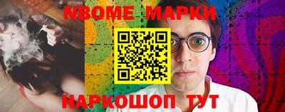 индика Камышлов