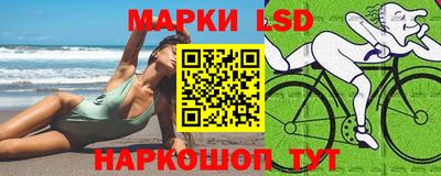 индика Камышлов