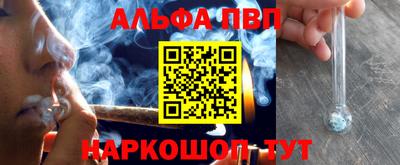 индика Камышлов
