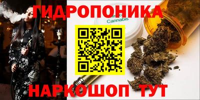 индика Камышлов