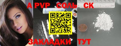 индика Камышлов
