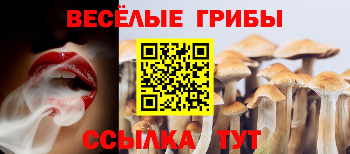Лосино-Петровский  Галлюциногенные грибы GOLDEN TEACHER  купить наркотики сайты  Вход с VPN 